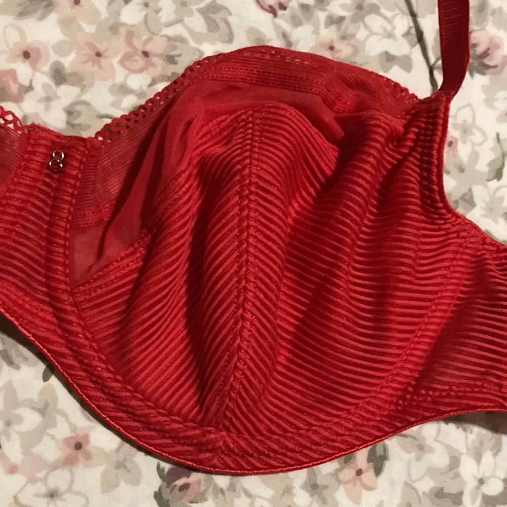 Conturelle Red Bra - Picture 5 of 9